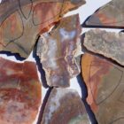 Unknown Jasper