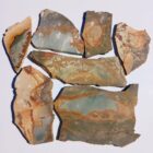 Nevada Picture Jasper