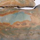 Nevada Picture Jasper