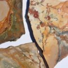 Nevada Picture Jasper