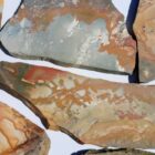 Nevada Picture Jasper