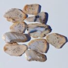 Montana Moss Agate