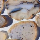 Montana Moss Agate