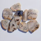 Montana Moss Agate