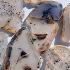 Montana Moss Agate