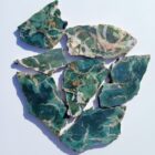 Hampton Butte Petrified Wood