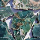 Hampton Butte Petrified Wood