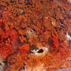Agua Nueve Moss Agate
