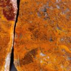 Maury Mountain Moss Agate