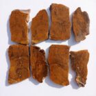Petrified Wood Moss Agate