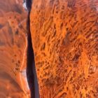 Petrified Wood Moss Agate
