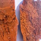 Petrified Wood Moss Agate