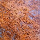 Moss Agate