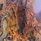 Maury Mountain Moss Agate