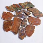 Unknown Jasper