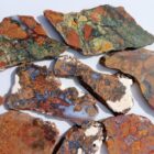 Unknown Jasper