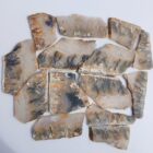 Graveyard Point Plume Agate