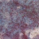 Purple Jasper