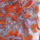 Utah Rainbow Jasper