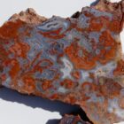 Utah Rainbow Jasper