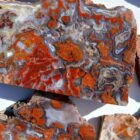 Utah Rainbow Jasper