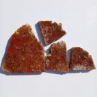 Agua Nueva Moss Agate
