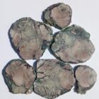 Unknown Brecciated Green Jasper