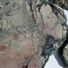 Unknown Brecciated Green Jasper
