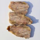 Silver Creek Junction Opalized Petrified Wood