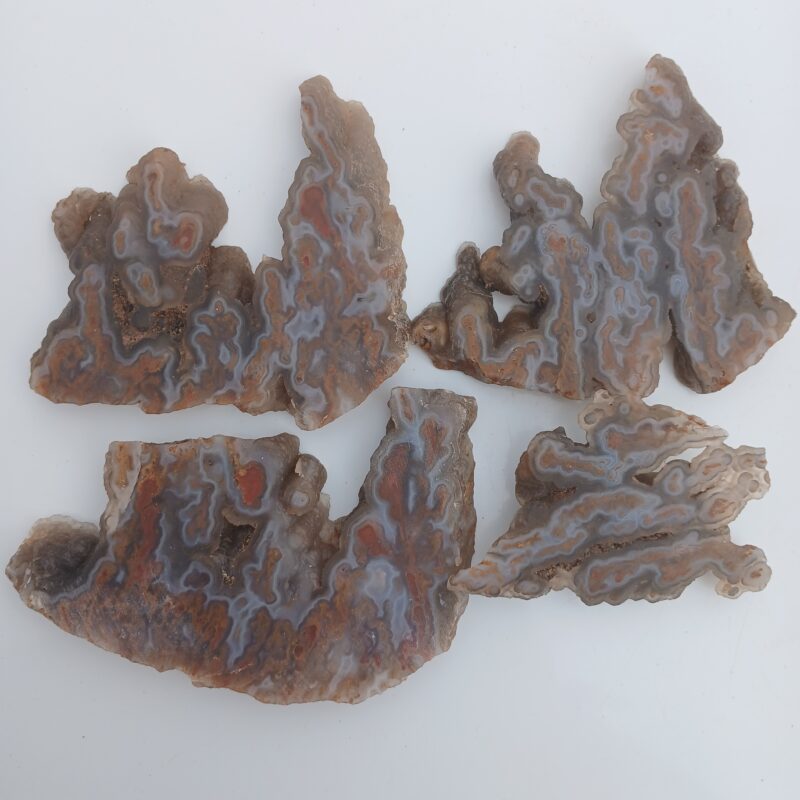 Unknown Agate Unknown Agate