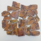 Stone Canyon Jasper