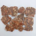 Cold Mountain Jasper