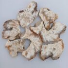 Stinking Water Plume Agate
