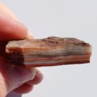 Laguna Lace Agate