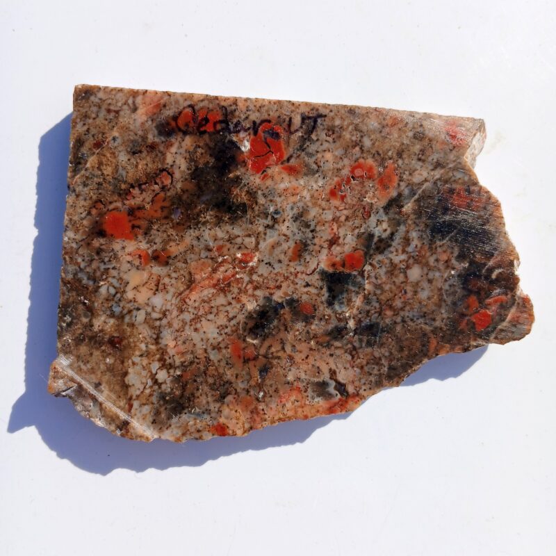 Jasper from Cedar City, Utah Jasper from Cedar City, Utah