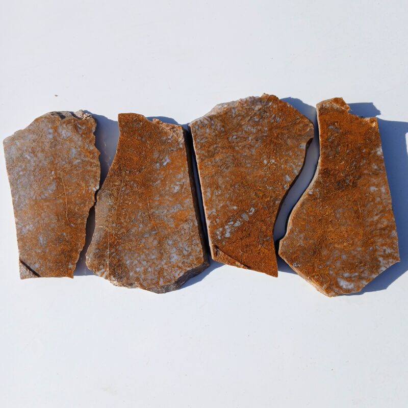 Moss Agate Moss Agate