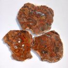 Bloody Basin Plume Agate