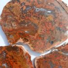Bloody Basin Plume Agate