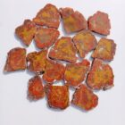 Yellowcat Jasper
