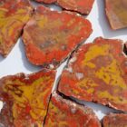 Yellowcat Jasper