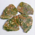 Rainforest Jasper