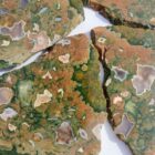 Rainforest Jasper