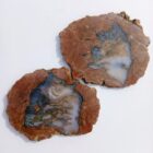 Priday Moss Agate (Thunderegg)