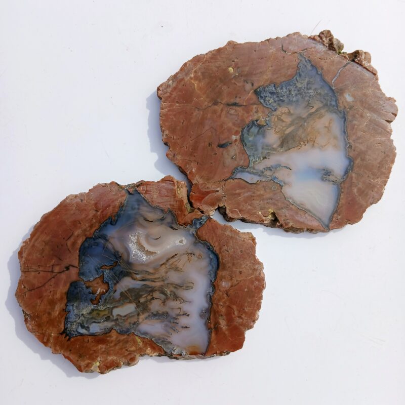 Priday Moss Agate (Thunderegg) Priday Moss Agate (Thunderegg)