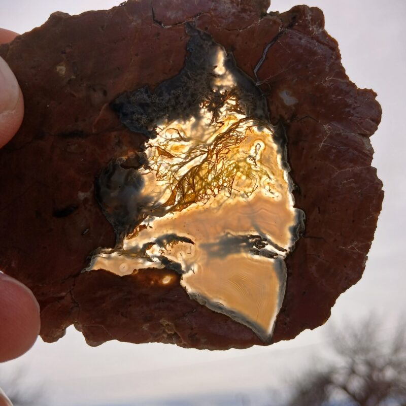 Priday Moss Agate (Thunderegg)