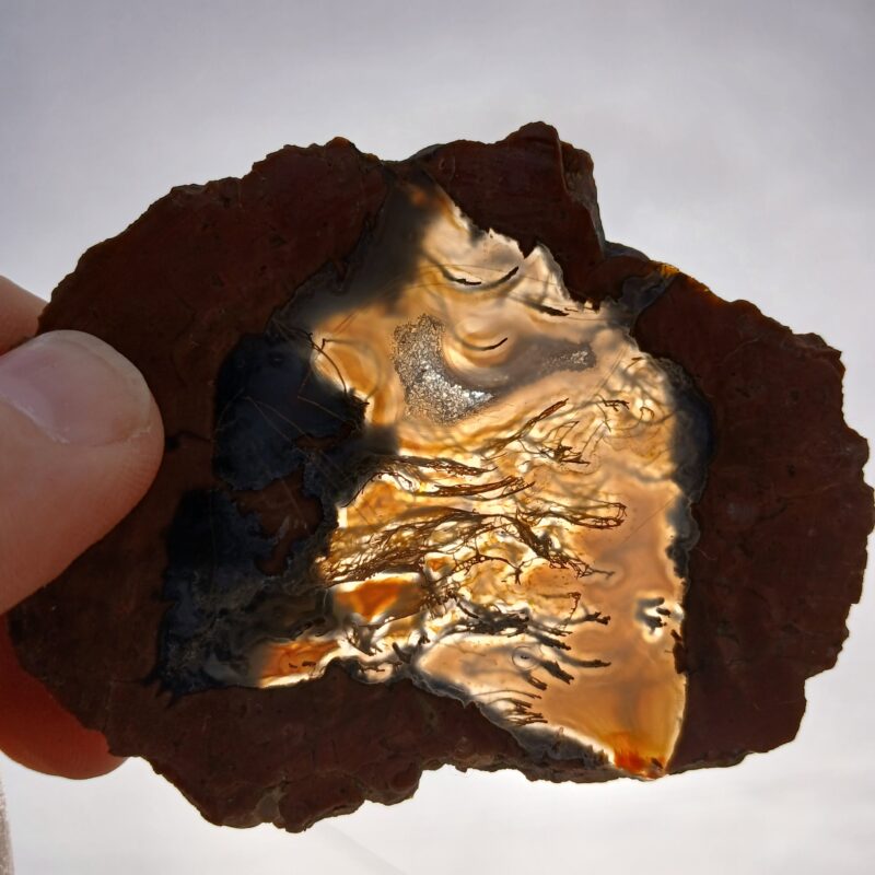 Priday Moss Agate (Thunderegg)