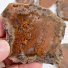Moss Agate