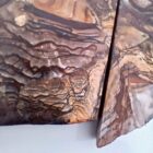 Biggs Jasper