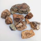 Graveyard Point Plume Agate