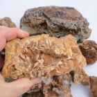 Graveyard Point Plume Agate